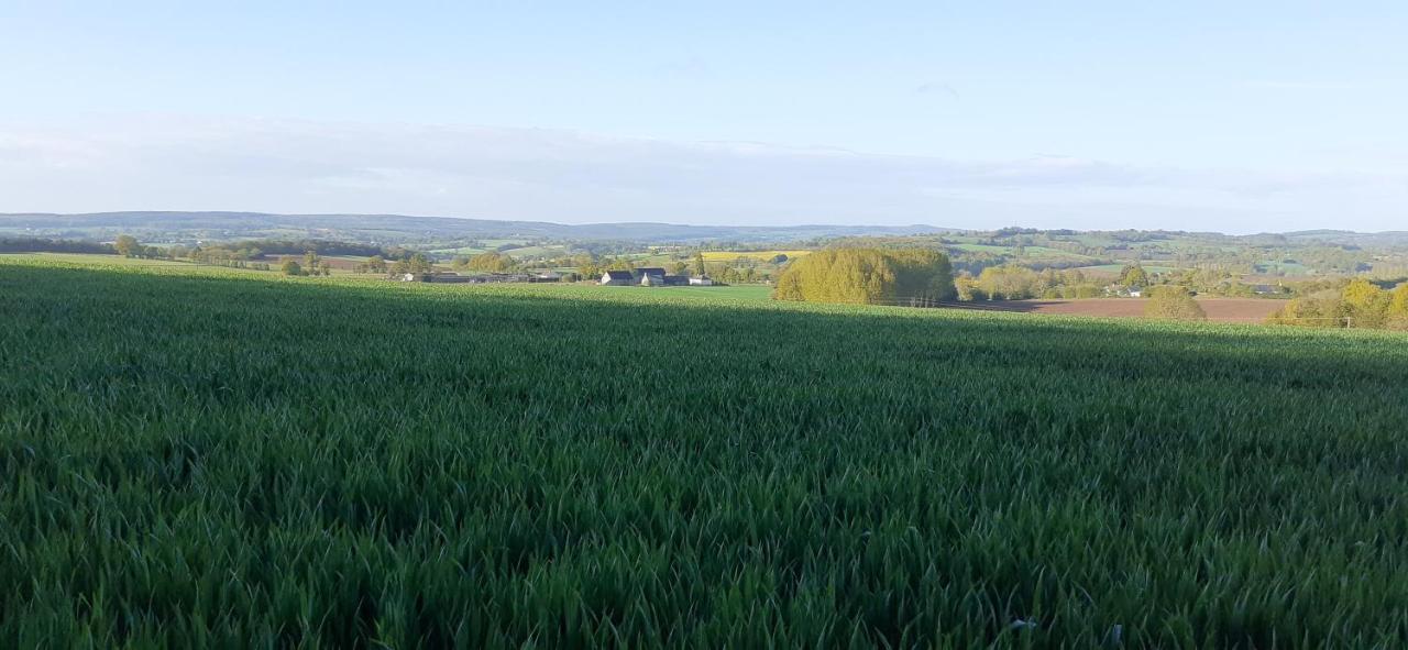 Private Farmhouse For Six In The Countryside Saint-Pierre-sur-Orthe Eksteriør billede